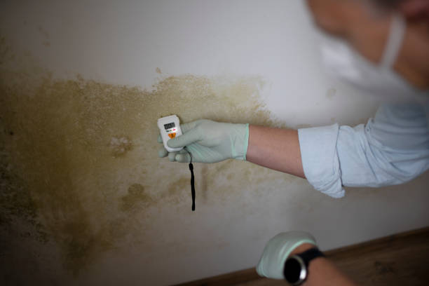 Best Mold Testing  in Syracuse, NE