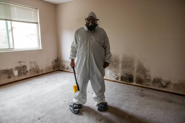 Best Crawl Space Mold Removal  in Syracuse, NE